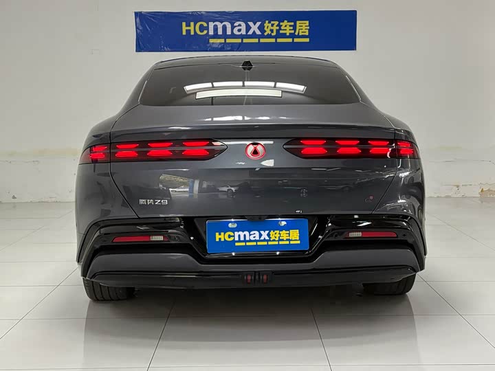 Фото 5 - Denza Z9