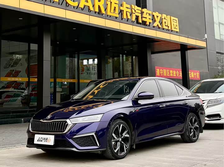 Фото 1 - Skoda Octavia Pro