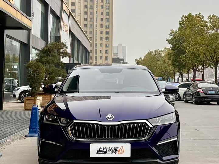 Фото 2 - Skoda Octavia Pro