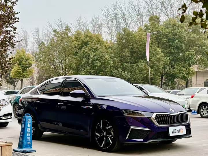 Фото 3 - Skoda Octavia Pro