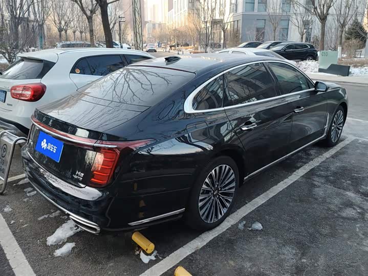 Фото 3 - Hongqi H9