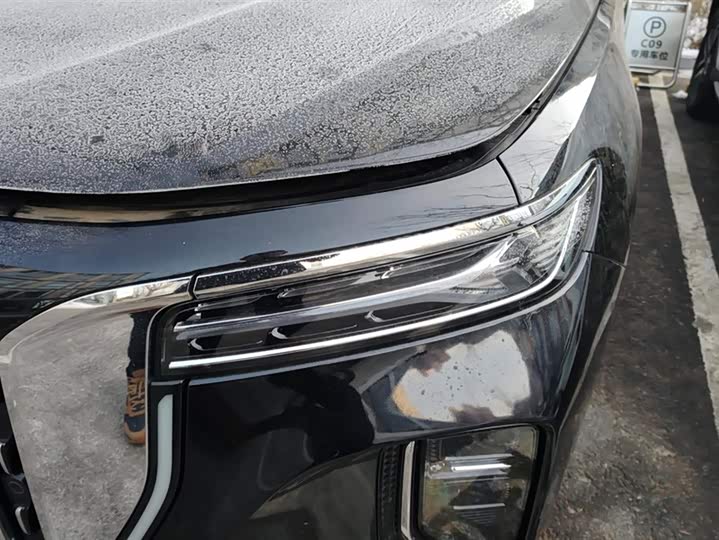 Фото 5 - Hongqi H9