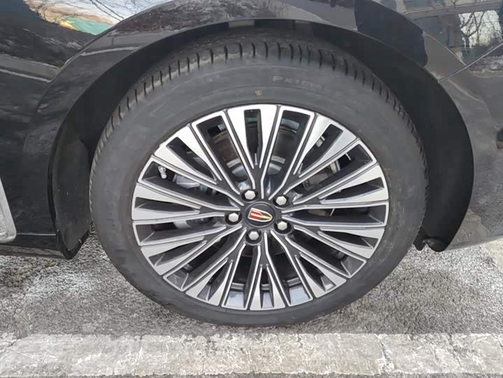 Фото 6 - Hongqi H9