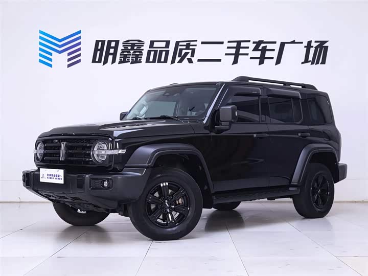 Фото 2 - Tank 300