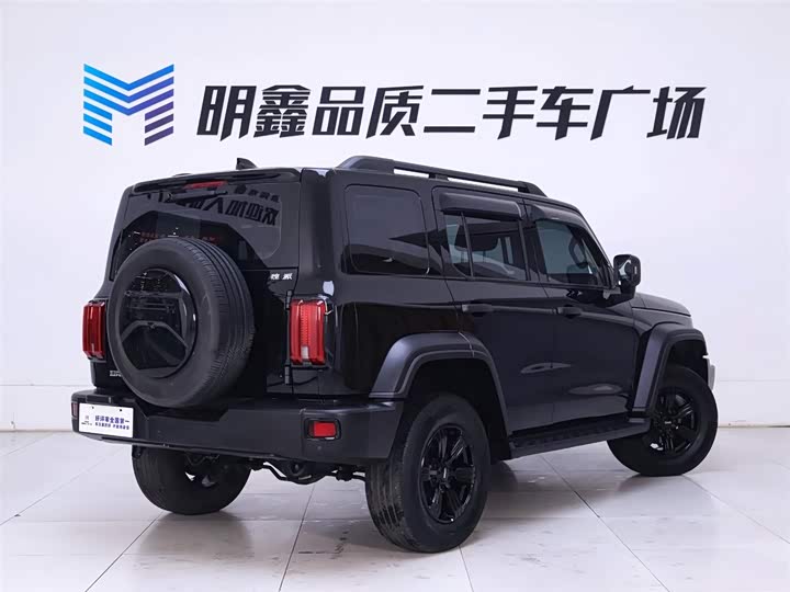 Фото 7 - Tank 300