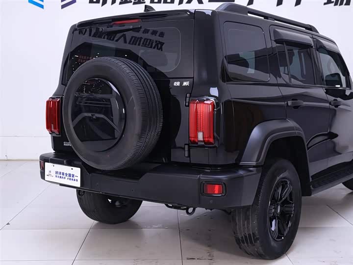 Фото 8 - Tank 300