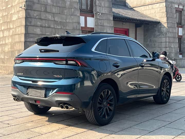 Фото 7 - Dongfeng Forthing T5 EVO