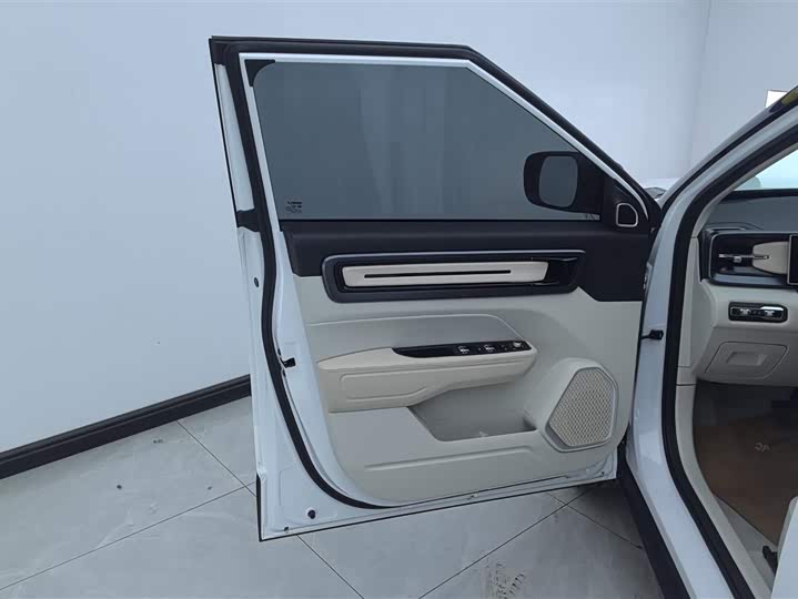 Фото 7 - Geely Icon