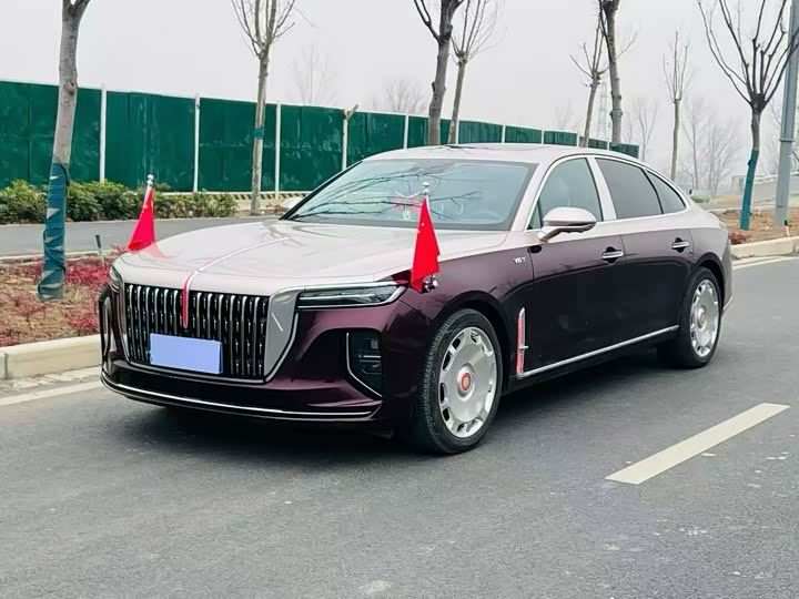 Фото 1 - Hongqi H9