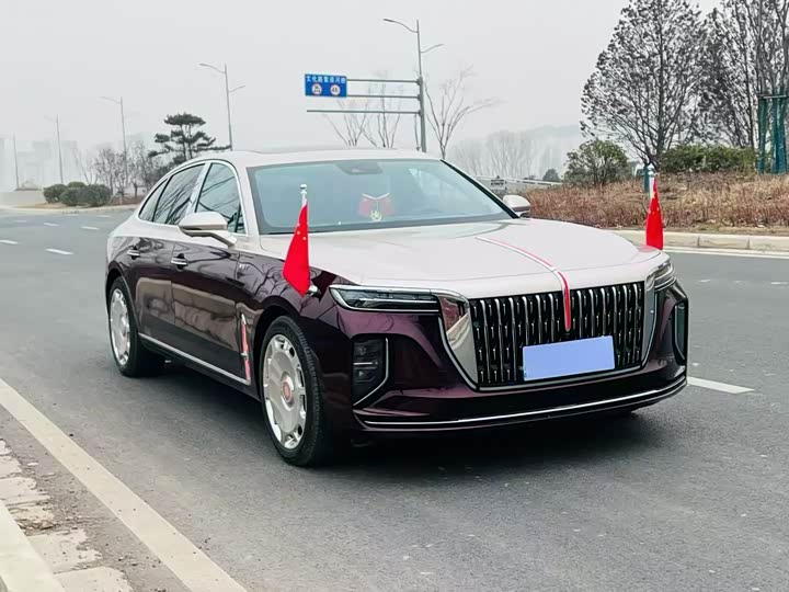 Фото 3 - Hongqi H9
