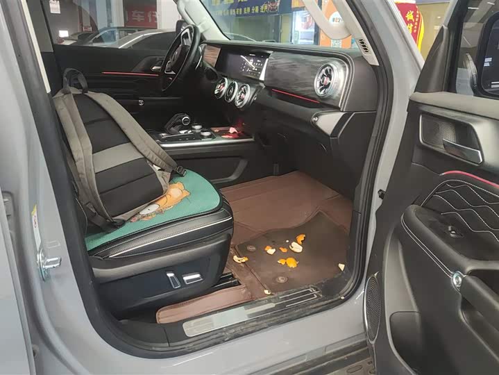 Фото 8 - Tank 300