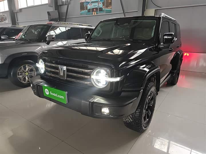 Фото 1 - Tank 300