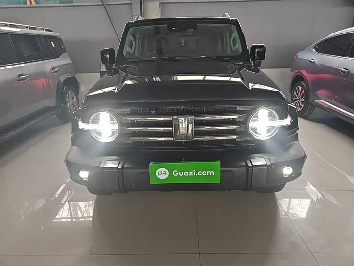 Фото 3 - Tank 300