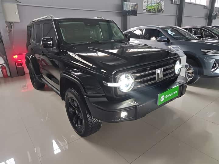 Фото 4 - Tank 300