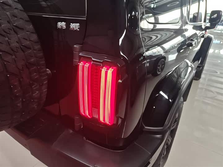 Фото 8 - Tank 300