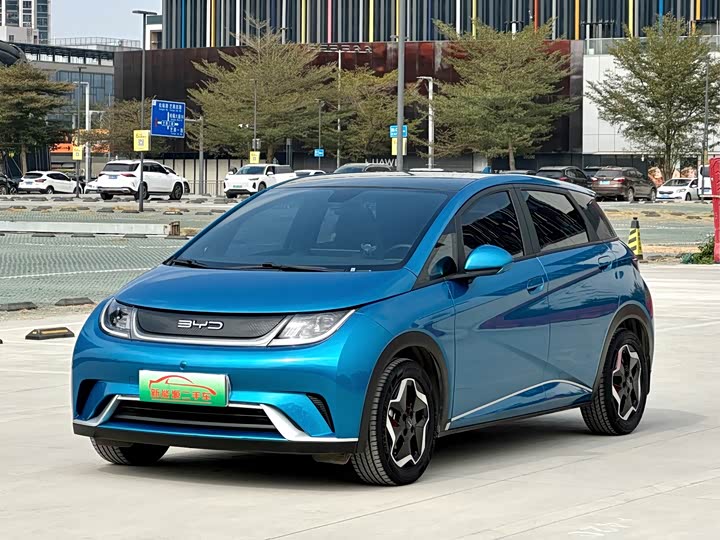 Фото 1 - BYD Dolphin