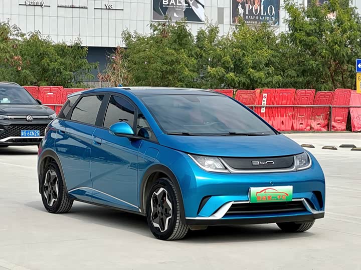 Фото 3 - BYD Dolphin