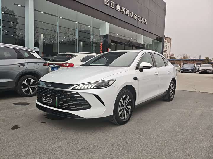 Фото 1 - BYD Qin Plus