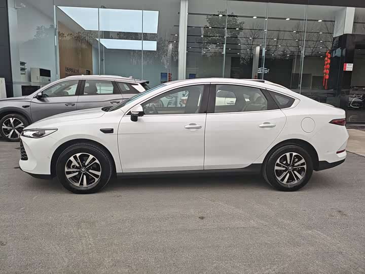 Фото 4 - BYD Qin Plus