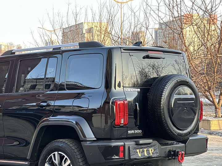 Фото 7 - Tank 300