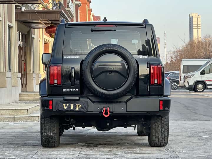 Фото 8 - Tank 300