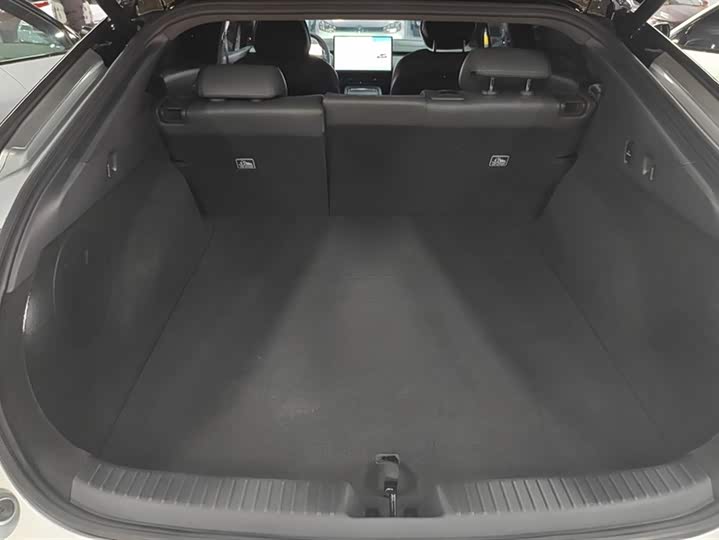 Фото 4 - XPeng F57