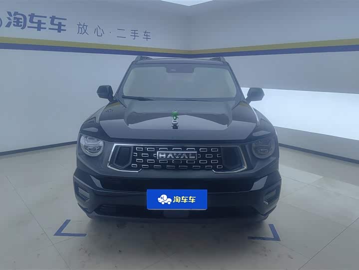 Фото 2 - Haval H-Dog