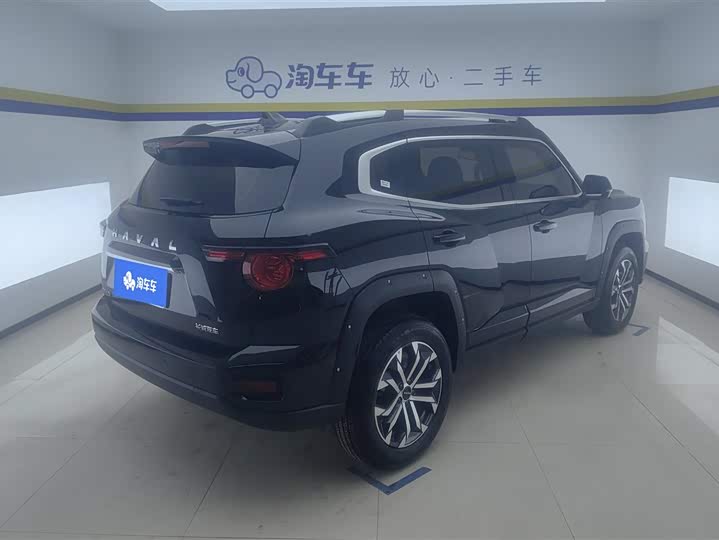 Фото 3 - Haval H-Dog