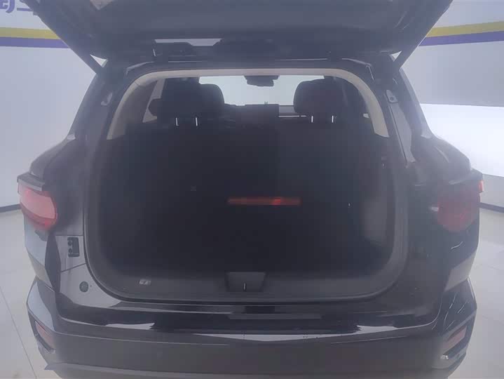 Фото 4 - Haval H-Dog