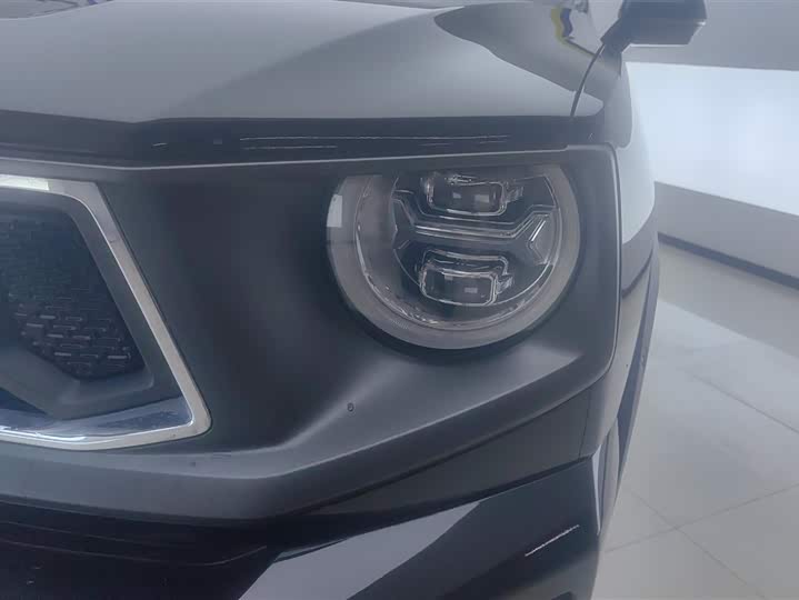 Фото 5 - Haval H-Dog