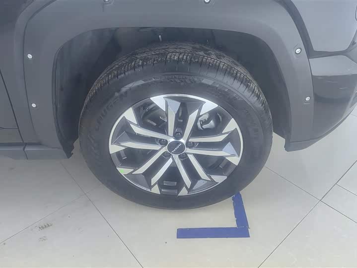 Фото 6 - Haval H-Dog