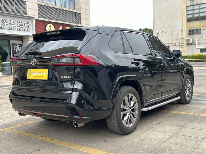 Фото 9 - Toyota Wildlander