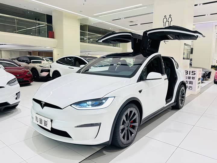 Фото 1 - Tesla Model X