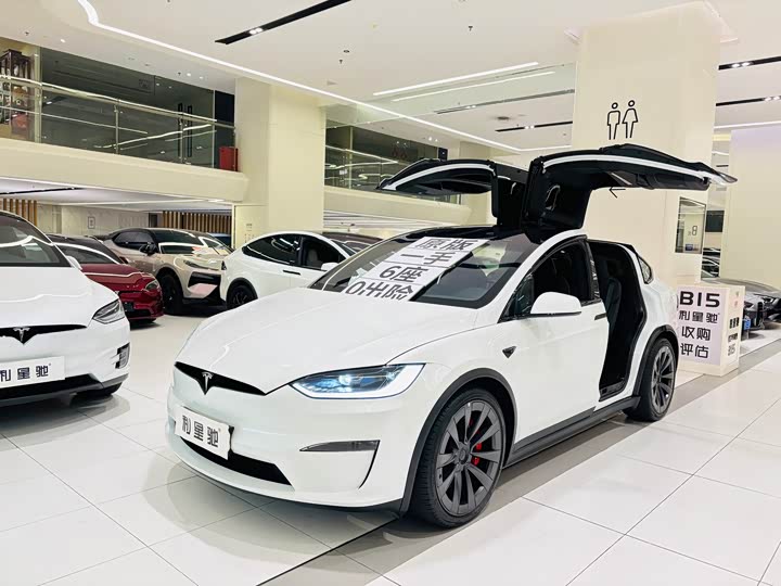 Фото 2 - Tesla Model X
