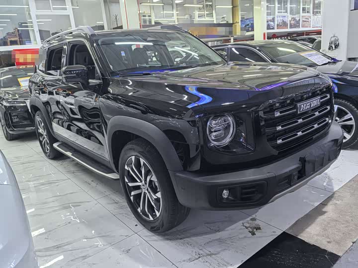 Фото 3 - Haval Dargo