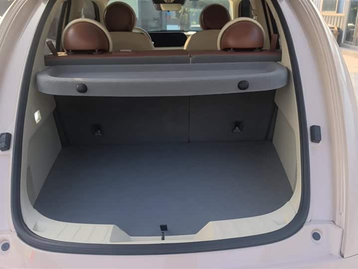 Фото 4 - Ora Ballet Cat