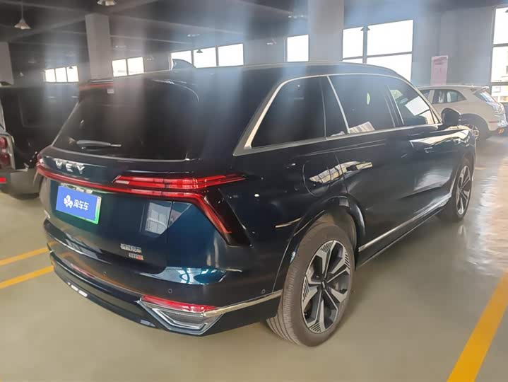 Фото 3 - Wey Lanshan