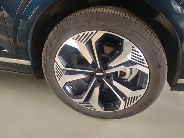 Фото 6 - Wey Lanshan