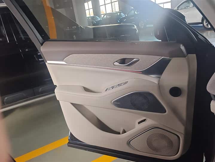 Фото 7 - Wey Lanshan