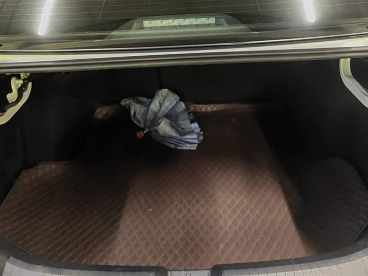 Фото 4 - Volkswagen Sagitar L