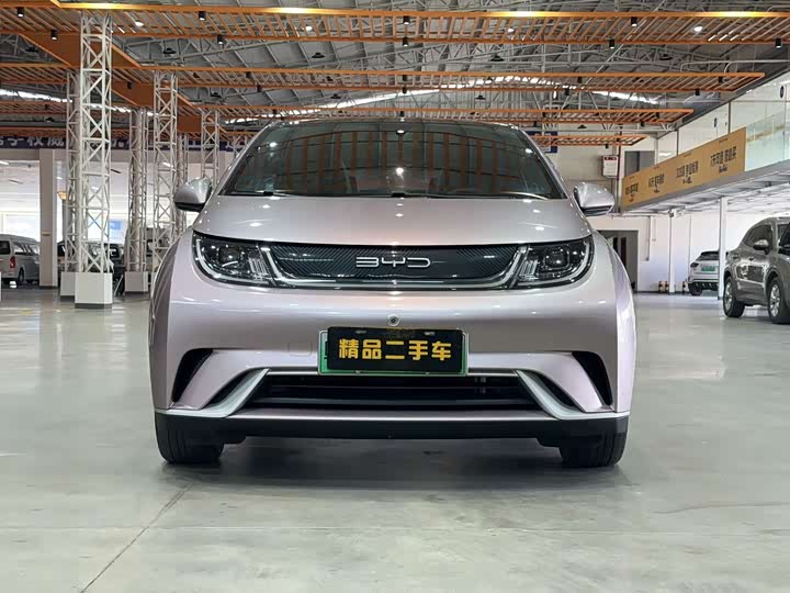 Фото 2 - BYD Dolphin