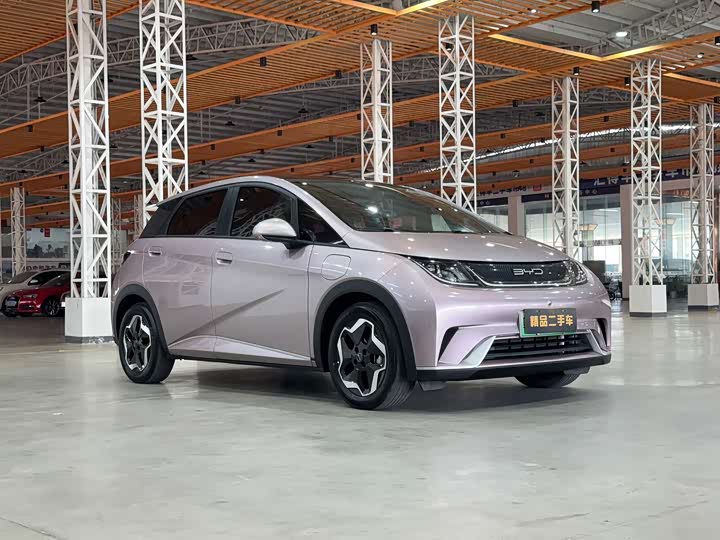 Фото 4 - BYD Dolphin