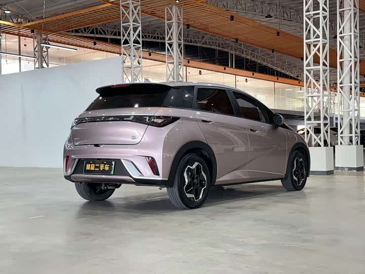 Фото 5 - BYD Dolphin