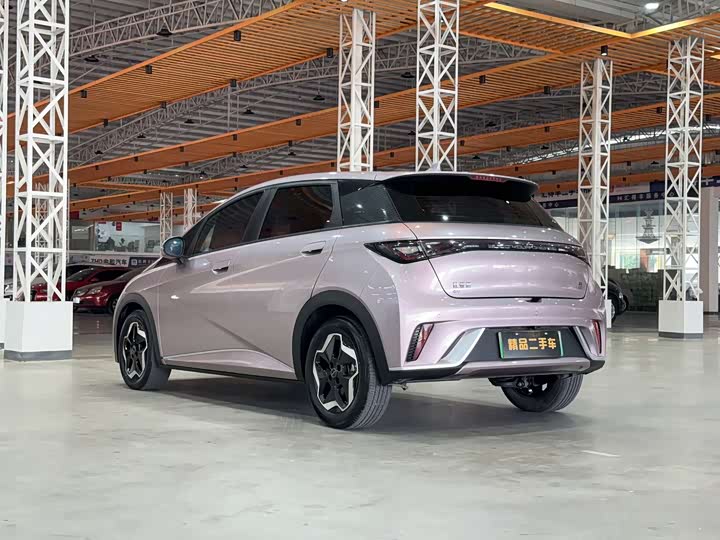 Фото 6 - BYD Dolphin