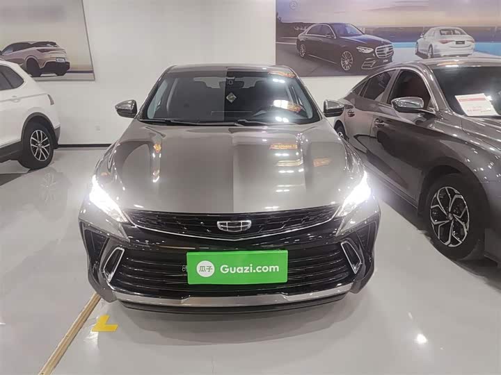 Фото 3 - Geely Binrui