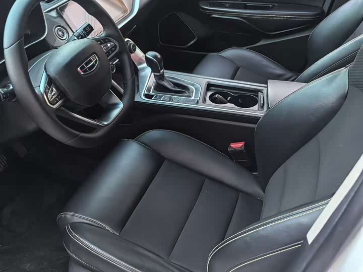 Фото 9 - Geely Binrui