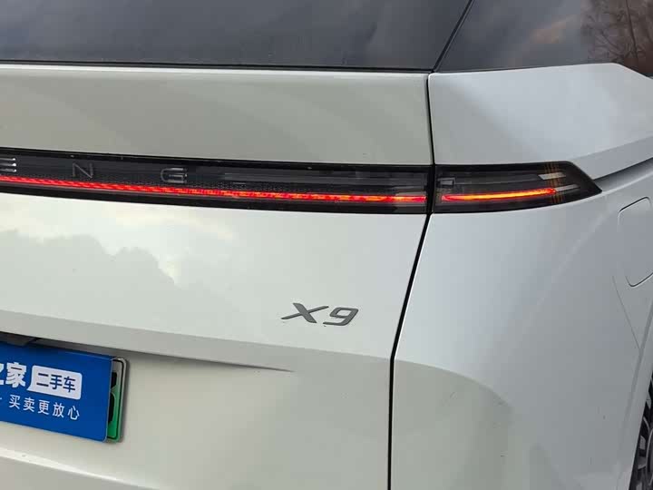 Фото 6 - XPeng X9
