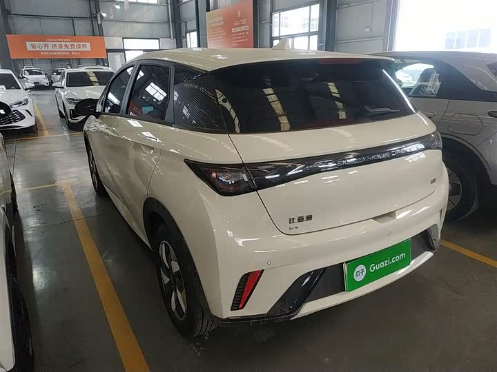 Фото 5 - BYD Dolphin