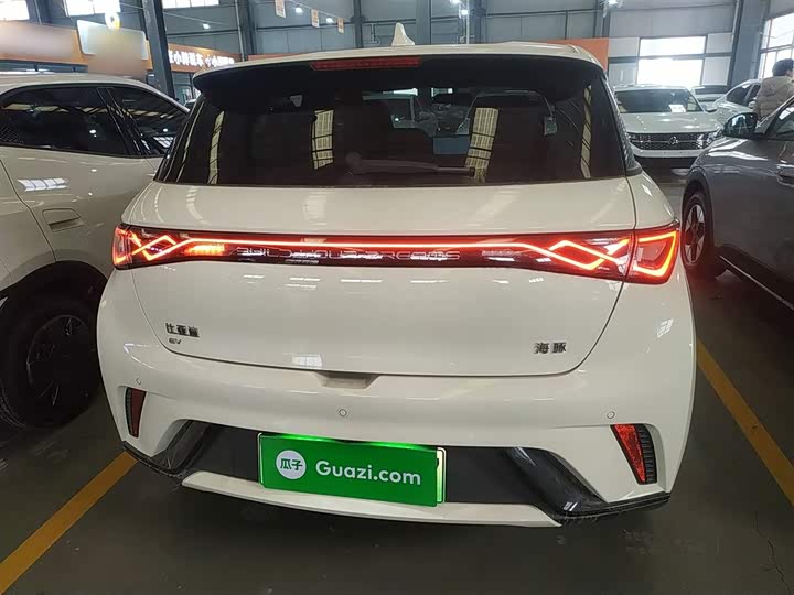 Фото 6 - BYD Dolphin