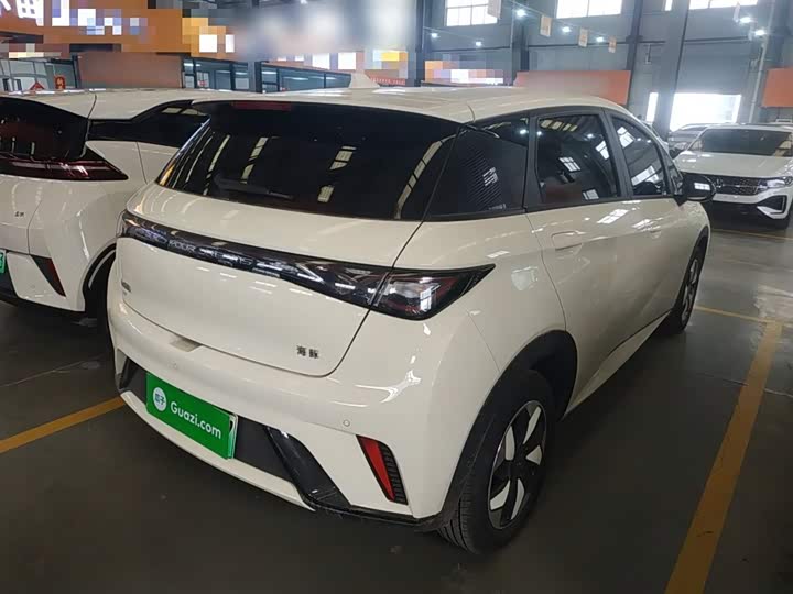 Фото 7 - BYD Dolphin